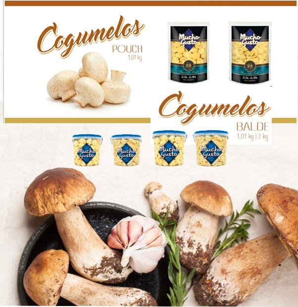 Cogumelo Champignon